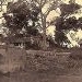 Cầu giấy