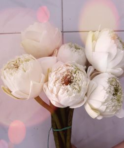 Lý đạo là xuân