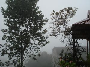 Từ \