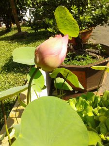 NHAT KÝ CUỐI TUẦN