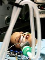 Tha thứ - Thông điệp hòa bình mùa Giáng sinh