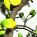 NHẬT KÝ CUỐI TUẦN 22 - 01 - 2021