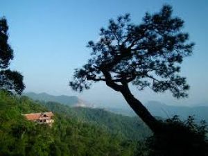 Ý thức phản tỉnh - Một nét đẹp nhân văn trong thơ thời Trần